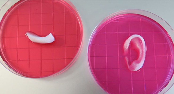 organi e tessuti stampati 3D